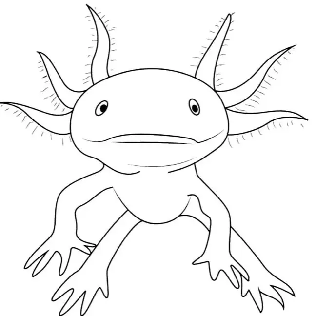 Drawing Is Done